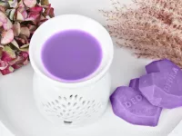 Vonný sójový EKO vosk do aromalampy PARFUMIA®, FRESSIA