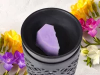 Vonný sójový EKO vosk do aromalampy PARFUMIA®, FRESSIA