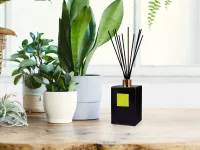 500 ml interiérový tyčinkový bytový parfém, ZAZEN, DIFFUSEUR INTÉRIEUR