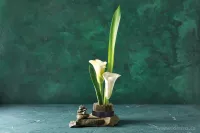 Aranžovací napichovací ježek na květiny IKEBANA