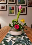 Aranžovací napichovací ježek na květiny IKEBANA