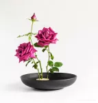 Aranžovací napichovací ježek na květiny IKEBANA