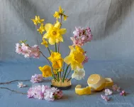 Aranžovací napichovací ježek na květiny IKEBANA