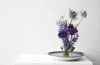 Aranžovací napichovací ježek na květiny IKEBANA