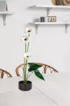 12,5 cm keramická mísa na svíčky a dekorace a na květinové aranžmá IKEBANA
