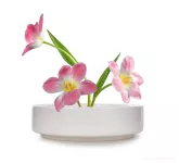 20 cm keramická mísa na květinové aranžmá IKEBANA
