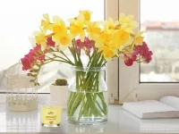 55 ml votivní sójová eko-svíce, FLEUR DE VANILLE, PARFUMIA®