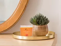 55 ml votivní sójová eko-svíce, MANGO, PARFUMIA®
