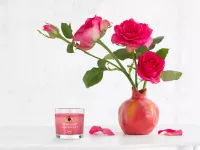 55 ml votivní sójová eko-svíce, pečený čaj, LADY MARMELADE’S FRUIT TEA, PARFUMIA®