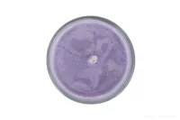 55 ml votivní sójová eko-svíce, RELAXATION, PARFUMIA®