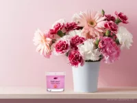55 ml votivní sójová eko-svíce, SAISON PARFUM, PARFUMIA®