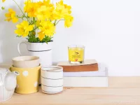 55 ml votivní sójová eko-svíce, tropický ananas TROPICAL PINEAPPLE, PARFUMIA®