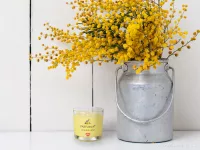 55 ml votivní sójová eko-svíce, vaječný likér, LIQUEUR DE CRÈME, PARFUMIA®