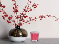 55 ml votivní sójová eko-svíce, WILD CRANBERRY, PARFUMIA®