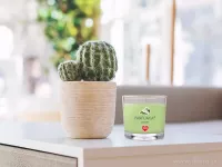 55 ml votivní sójová eko-svíce, ZAZEN, PARFUMIA®