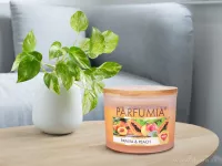INTENSE 2 KNOTY sójová vonná EKO svíce PARFUMIA®, PAPAYA & PEACH