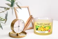 INTENSE 2 KNOTY sójová vonná EKO svíce PARFUMIA®, YLANG YLANG