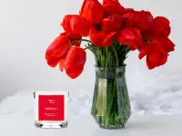 55 ml votivní sójová eko-svíce, HONORÉ, PARFUMIA®