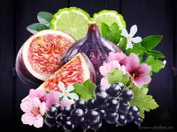 Parfémová esence PULPIDOO do aromalamp a difuzérů ESSENCE A L'INTÉRIEUR