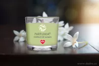VOTIVNÍ SADA 3ks sójových vonných eko-svíček PARFUMIA® řady LEGENDS
