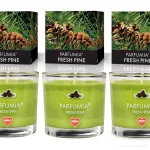 VOTIVNÍ SADA 3ks sójových vonných eko-svíček PARFUMIA®, vůně borovice, FRESH PINE