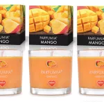 VOTIVNÍ SADA 3ks sójových vonných eko-svíček PARFUMIA®, MANGO