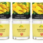VOTIVNÍ SADA 3ks sójových vonných eko-svíček PARFUMIA®, YLANG YLANG
