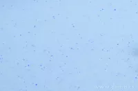 ANATOMIXX matrace 100 x 200 x 21 cm