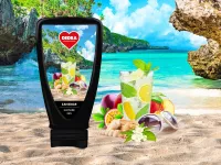 Pěnivý sprchový gel s Aloe Vera a glycerinem, ZANZIBAR
