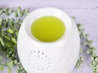 Vonný sójový EKO vosk do aromalampy PARFUMIA®, LEMONGRASS