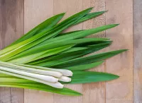 55 ml votivní sójová eko-svíce, LEMONGRASS, PARFUMIA®