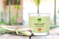 55 ml votivní sójová eko-svíce, LEMONGRASS, PARFUMIA®