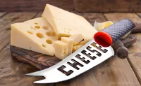 27 cm nerezový nůž na sýr ABS INOX