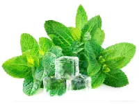 PARFUM ESSENCE fresh mint 100 ml