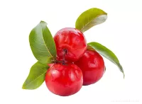 ACEROLA | přírodní vitamín C pro imunitu, extrakt z plodů 560 mg