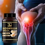 BOSWELLIA SERRATA 490 mg | standardizovaný extrakt (65 % kyseliny boswellové) na klouby