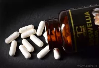 BOSWELLIA SERRATA 490 mg | standardizovaný extrakt (65 % kyseliny boswellové) na klouby