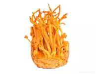CORDYCEPS 490 mg | pro výkon, zdraví a imunitu