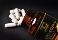 LIPOZOMÁLNÍ VITAMÍN C se šípkem 250 mg | maximální vstřebatelnost