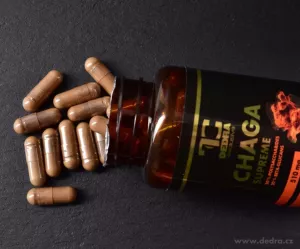 CHAGA 510 mg | 50 % polysacharidů + 20 % beta-glukanů | podpora imunity & antioxidanty | 90 kapslí