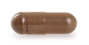 CHAGA 510 mg | 50 % polysacharidů + 20 % beta-glukanů | podpora imunity & antioxidanty | 90 kapslí