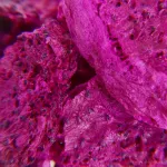 EXOTICKÁ PITAYA | lyofilizované plátky, ovoce sušené mrazem