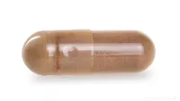 REISHI SUPREME 505 mg | 50 % polysacharidů a 20 % beta-glukanů | imunita, vitalita a oběhový systém | 90 kapslí