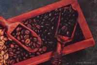 SPA | ULTRASAVÝ křemelinový běhoun | rychleschnoucí & protiskluzový | 120 × 40 cm | kitchen