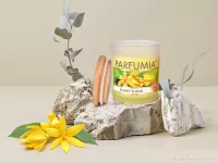 1+1 ZDARMA | sójová vonná svíčka | YLANG YLANG + DIVINE AMBER | PARFUMIA® | 250 ml x 2