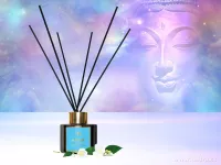 1+1 ZDARMA | tyčinkový difuzér | ICE CREAM + NAMASTÉ | PARFUMIA® | 100 ml x 2