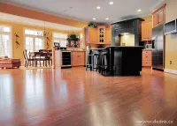 BACILEX HYGIENIC FLOOR CARE | Univerzální mycí prostředek na podlahy | vůně mango | 500 ml | 25 mytí