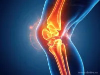 Dárková sada KLOUBY & KOSTI | POHYB A REGENERACE