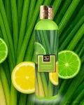 LEMONGRASS | šetrný sprchový gel s glycerinem & Aloe vera | 320 ml | LEGENDS