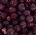 LESNÍ BORŮVKY | lyofilizované, celé ovoce sušené mrazem | 50 g